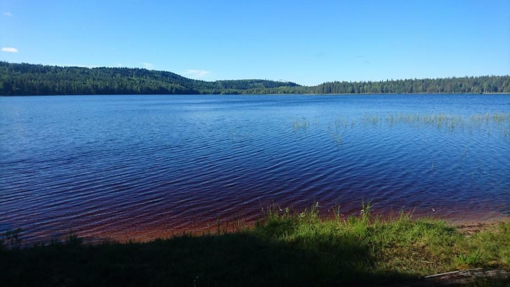 Loma-Laattaja Villa Hyrynsalmi ภายนอก รูปภาพ
